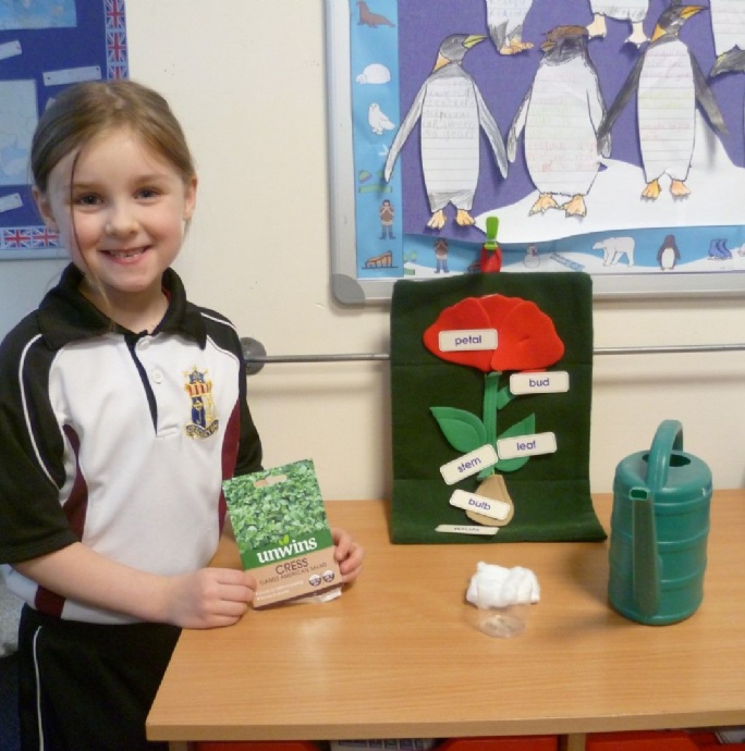 News » Crackley Celebrates British Science Week
